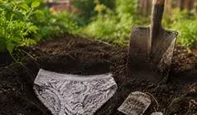 Zakopali majtki w ogródkach. Naukowcy mają wyniki po pięciu latach