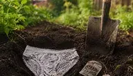Zakopali majtki w ogródkach. Naukowcy mają wyniki po pięciu latach