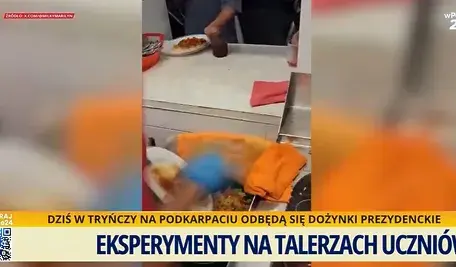 jedzenie wyrzucane do śmietników (