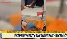 jedzenie wyrzucane do śmietników (