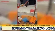 jedzenie wyrzucane do śmietników (