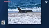 Z Bałtyku wyłowiono rosyjskiego drona. Leży na plaży, a wokół białe piaski. Tusk z Kosiniakiem nie upilnowali i wleciał, nawet nie wiadomo kiedy