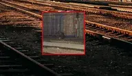 Łoś wtargnął na tory i sparaliżował ruch pociągów w Warszawie