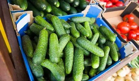 Ogórki w sklepie drogie, a u rolników tanie