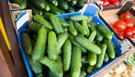 Ogórki w sklepie drogie, a u rolników tanie 