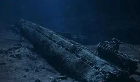 u864