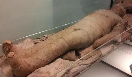 Mumie w Muzeum Egipskim nieodmiennie budzą zainteresowanie