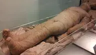 Mumie w Muzeum Egipskim nieodmiennie budzą zainteresowanie