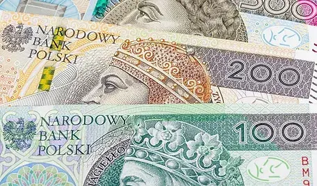 Pieniądze w polskiej walucie