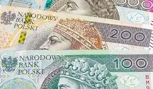 Pieniądze w polskiej walucie