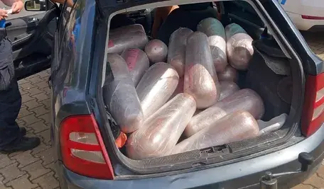 W bagżniku Skody Fabii, niewyposażonej nawet w klimatyzację wieziono kilkaset kilogramów mięsa do kebabów