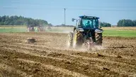 GUS wyliczył dochód z hektara przeliczeniowego na blisko 5,5 tys. zł, jednak rolnicy kwestionują te dane i wskazują, że znacząco odbiegają od ich rzeczywistych zarobków.