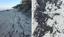 Czarny koszmar na plażach! Zamknięto aż 50 km wybrzeża