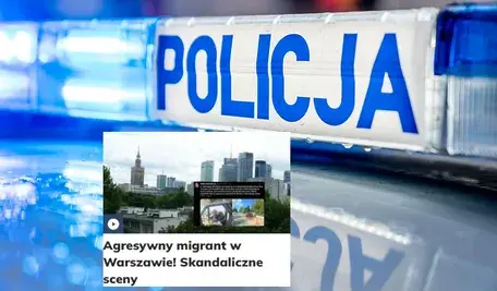 policja