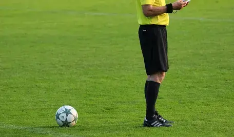 planet_fox-soccer-6679087_1920