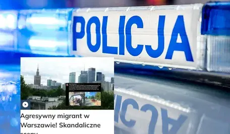 policja
